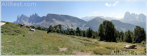 Hotel Cristallo 39